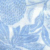 Banksia Blue